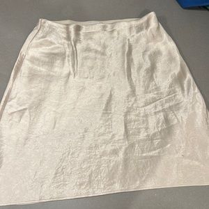 Aritzia skirt